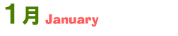 1月January